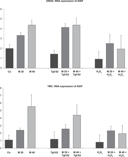 Figure 6 XIAP mRNA expression of ONHA and TMC after treatment with minocycline only and after additional treatment with H2O2 or TGFβ-2. ONHA treated with 40 minocycline μM showed a significant increase in XIAP mRNA expression compared with the control in both cell lines. TGFβ-2 and H2O2 treatment slightly decreased XIAP expression in ONHA and treatment with minocycline 20 μM and 40 μM and TGFβ-2 or H2O2 increased expression of XIAP compared with ONHA treated only with TGFβ-2 or H2O2. TMC treated with minocyline 20 μM TGFβ-2 or H2O2 showed an increased expression of XIAP mRNA compared with TMC treated only with TGFβ-2 or H2O2. All differences between the two minocycline concentrations and the corresponding controls are statistically significant.Key: x-axis, RR of XIAP mRNA normalized to 18s rRNA expressed in decimal format; y-axis, tested concentrations of minocycline.