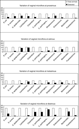 Figure 1.  Fluctuations in the vaginal microflora in the four distinct phases of the rat estrous cycle. White columns show the total population of the tested animals at the specific phase of the estrous cycle. The black columns correspond to the animals where the organism was detected at the specific phase of the estrous cycle.