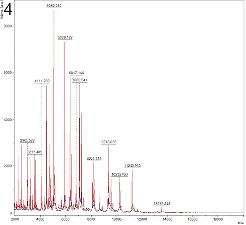 Figure 4 Mass spectra obtained from mass spectrometry analysis of fungal samples. By comparison of the mass spectrogram with more than 5900 fingerprints in the database, the result was confirmed to be Microsporum canis. The Abscissa is the value of the ion mass-charge ratio, and the ordinate represents the intensity of each peak.