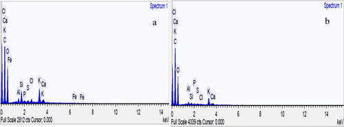 Figure 3. EDS spectra of ethanolic extract from V. amygdalina leaf using MAE (a) and Soxhlet extraction (b).