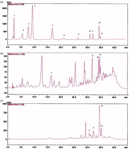 Figure 1. (a) HPLC chromatograms of a standard mixture of phenolic acids. Peaks: 1 = gallic acid; 2 = chlorogenic acid; 3 = vanillic acid; 4 = syringic acid; 5 = caffeic acid; 6 = ellagic acid; 7 = myricetin; 8 = quercetin; 9 = luteolin; 10 = kaempferol; 11 = apigenin. (b and c) HPLC chromatograms of F3 and F4 oil fractions of the wild carrot extract. HPLC conditions: mobile phase, water:acetic acid:methanol; 10:2:88 (solvent A) and water:acetic acid:methanol; 90:2:8 (solvent B), flow rate; 1.5 ml/min, detection; UV at 280 nm.