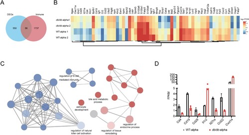 Figure 4. Analysis of immune-related DEGs in the lungs of db/db and WT mice after infection. (A) Veen diagram of DEGs in the infected db/db and WT mice and immune-related genes. DEGs were presented in blue, and immune-related genes were presented in red. (B) Heat map of expression of immune-related differential genes. (C) The network of GO enriched terms of DEGs. The term significant was presented by the node size: the biggest terms were the most significant ones. The proportion of associated upregulated or downregulated genes was showed with the node colour: red colour indicated more upregulated genes was enriched to the term, and blue colour indicated more downregulated genes. (D) FPKM values of some genes encoding immune cell surface antigens and cytokines in db/db and WT mice.