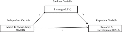 Figure 1. Research Conceptual Framework.