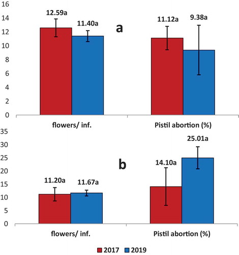 Figure 2. Average number of flowers per inflorescence (Flowers/inf.) and Pistil abortion (%) for ‘Dermlali’ olive cultivar in Bouka (A) and Sarabion (B) in the 2017 and 2019 seasons. Columns sharing the same letters have no significant differences (P ≥ 0.05) using t-student test