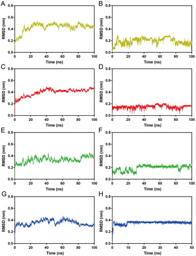 Figure 7. RMSD of atoms during MD simulations. (A, B) RMSDs of HP-1-Hps90 complexes and HP-1, respectively; (C, D) RMSDs of HP-2-Hps90 complexes and HP-2, respectively; (E, F) RMSDs of HP-3-Hps90 complexes and HP-3, respectively; (G, H) RMSDs of HP-4-Hps90 complexes and HP-4, respectively;.