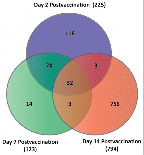 Figure 1. Venn diagram depicting the number of transcripts that were differentially expressed at day 2, day 7, and day 14 post-immunization. The common and unique transcripts shown are indicative of those that were statistically significant (FDR-corrected Step-up p-value ≤ 0.1) as well meeting a minimum criteria of a 2-fold change in gene expression (either up or down) over baseline levels of expression.