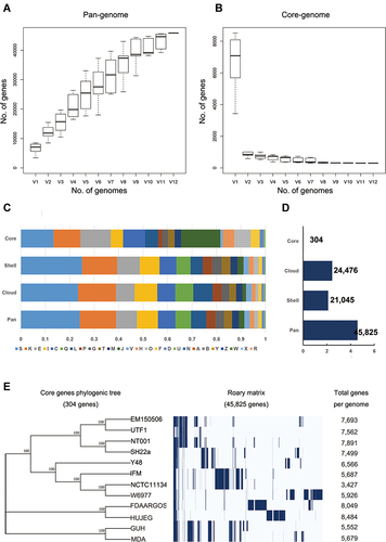 Figure 3 Pan-genomic analysis of Nocardia spp. (A and B) A pangenomic curve of Nocardia spp. (C) COG analysis for pangenomic, core, shell, and cloud clusters. (D) Number of genes in pangenomic, core, shell, and cloud clusters. (E) The phylogenic tree of Nocardia spp. core genes.