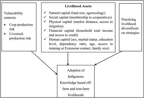 Figure 1. Conceptual framework of the study Adopted from Kakati, Citation2013.