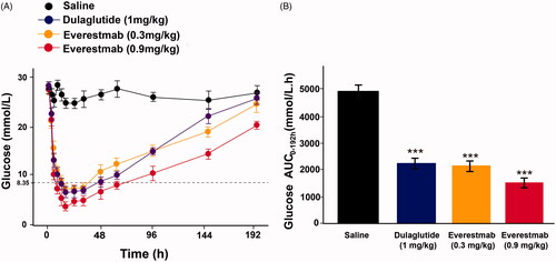 Figure 6. Hypoglycaemic duration test of everestmab in non-fasted GK rats. Results are presented as means ± SD (n = 8 each group). ***p<.001; **p<.02; *p<.05, comparing saline to GLP-1R agonists injection.