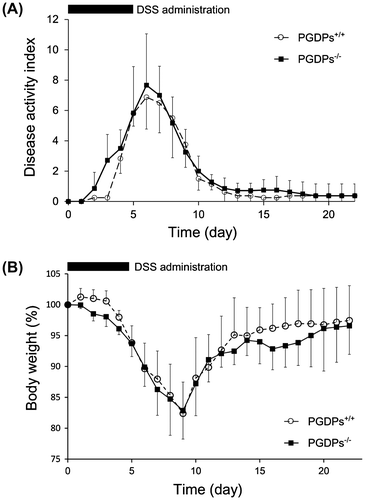 Figure 3. (A) Time-dependent changes in disease activity index. The increases after the administration of dextran sodium for 5 days in the disease activity index until day 6 and the decline by day 12 are shown. Each point represents the mean ± SD of 7 PGDPs−/− and 7 PGDPS+/+ mice. (B) Time-dependent changes in BW. The decline in BW until day 9 and the recovery to 95% by day 20 are shown. Each point represents the mean ± SD of 7 PGDPs−/− and 7 PGDPS+/+ mice.
