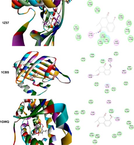 Figure 5 Molecular interactions between PLB and selected predicted targets.