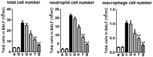 Figure 2. Effects of mogroside V on the number of total cells, neutrophils and macrophages in the BALF of LPS-induced ALI mice. Inflammatory cell counts in BALF obtained from challenged mice 12 h after LPS administration. Different cell counts were identified macrophage and neutrophil: (a) control (PBS treated mice); (b) mogroside V treated mice; (c) LPS-challenged mice; (d) LPS-challenged mice treated with mogroside V (2.5 mg/kg); (e) LPS-challenged mice treated with mogroside V (5 mg/kg); (f) LPS-challenged mice treated with mogroside V (10 mg/kg); (g) LPS-challenged mice treated with dexamethasone (2 mg/kg). The values presented are the means ± SEM (n = 5 in each group) of three independent in vivo experiments. *p < 0.05, **p < 0.01 versus LPS group.