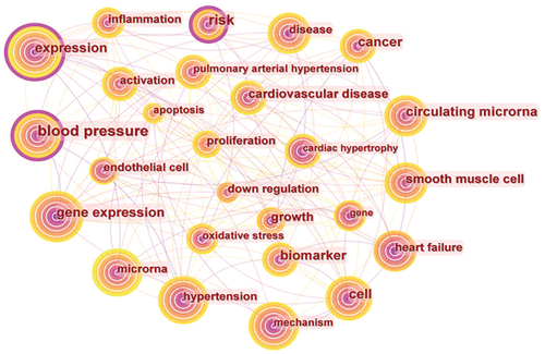 Figure 5. High-frequency keyword co-occurrence map of microRNA in hypertension research from 2005 to 2023.2023.The size of circle refers to the number of articles. The thickness of the outer pink circle represents the size of centrality.