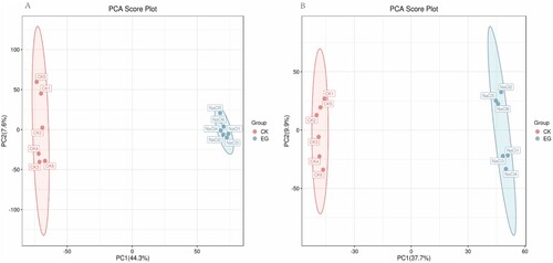 Figure 1. Principal component analysis (PCA) score plot. The first principal component (PC1) accounted for 44.3% and 37.7% of all variation in positive ion mode (A) and negative ion mode (B), respectively. CK: control group, EG: experimental group. Red and blue represent CK and EG, respectively.