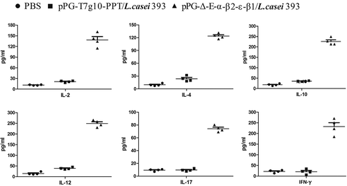 Figure 6. The levels of cytokines IL-2, IL-4, IL-10, IL-12, IL-17, and IFN-γ in sera samples determined by ELISA. The results are presented as mean ± SD of each group.