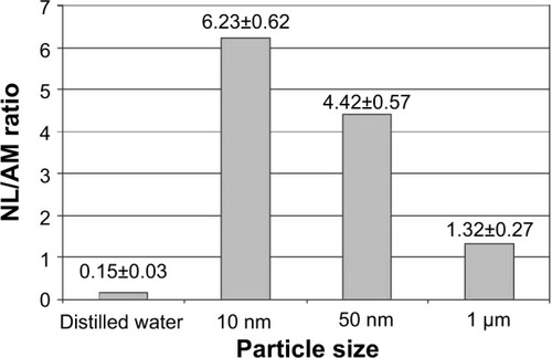 Figure 3 The ratio of the number of neutrophil leukocytes (NL) to the number of alveolar macrophages (AM) in the bronchoalveolar lavage fluid of rats 24 hours after the instillation of magnetite particles of different sizes at a dose of 2 mg in 1 mL of distilled water (x±SX).
