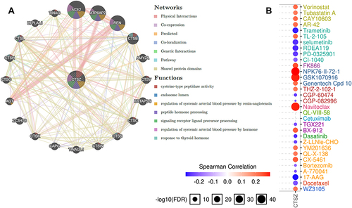 Figure 7 Protein–protein interaction (PPI) network and drug sensitivity analysis of CTSZ. (A) PPI network and functional analysis of CTSZ and its neighboring genes. Different colors of the network edge indicate the bioinformatics methods applied: physical interaction, coexpression, website prediction, colocalization, pathway and genetic interactions, and shared protein domains. The different colors of network nodes indicate the enrichment results of the gene set. The size of each circle represents the rank of gene that correlated with CTSZ. The width of each line represents the weight of the corresponding individual data source in the composite network. (B) Correlation between CTSZ expression and small molecule/drug sensitivity (IC50) based on the GDSC database.