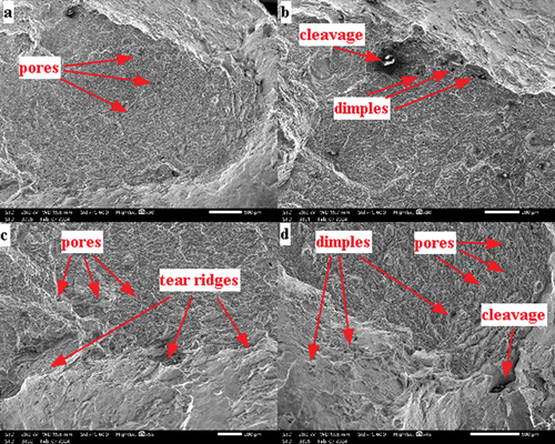 Figure 13. Fractography SEM images of tensile fractured specimens with the magnifications of (a) x30; (b) x80; (c) x55; (d) x45.