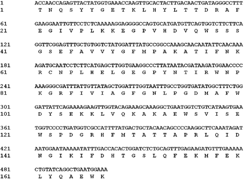 Figure 3. Amino acid sequence translated by LceIF2A gene sequence (accession number: KF279515).