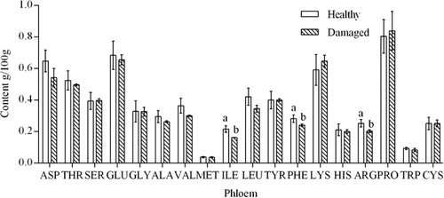 Figure 2. Types and contents of amino acids in the phloems of C. korshinskii.Note: Data show the mean ± standard deviation (n = 3) and the different small letters indicate significant differences compared with controls (P < 0.05).