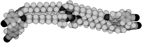 Figure 26. The molecular shape of tetramer with a C11 spacer unit shows the minimised structure in the gas phase at absolute zero using a Silicon Graphics system operating with Quanta and CHARMm software.