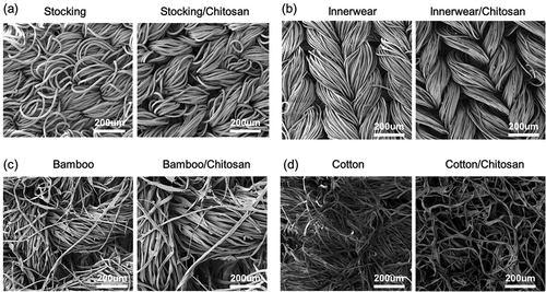 Figure 4. SEM images before (left panels) and after (right panels) chitosan coating of (a) stockings, (b) innerwear, (c) bamboo, and (d) cotton.
