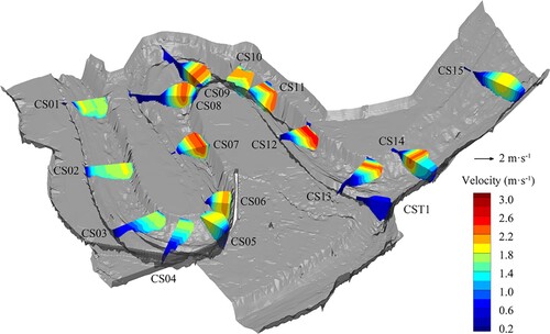 Figure 3. 3D cross-sectional flow streamwise vectors rendered with velocity magnitude.