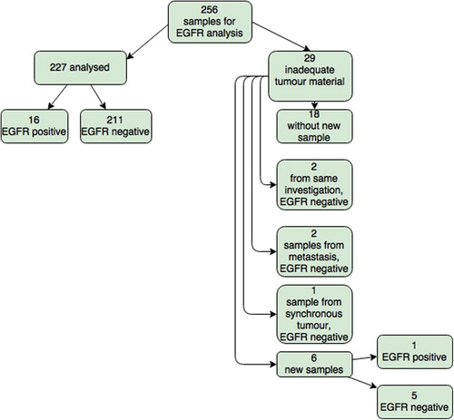 Figure 3. Flowchart of all samples submitted to Oslo University Hospital for EGFR analysis.