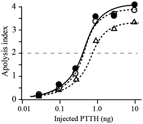 Fig. 3. Biological activities of the native and recombinant PTTHs.Notes: Dose-dependent activity was observed using three different PTTHs. The biological activity of PTTH was evaluated using the average of the apolysis index (N = 7); points 4, 3, 2, or 1 were observed if apolysis was observed on the 3rd, 4th, 5th, or 6th days after sample injection into the brainless pupae, respectively.Citation6) Closed circles, open circles, and open triangles indicate the effects of native PTTH, B-rPTTH, and E-rPTTH, respectively. The biological activities of these PTTHs were shown to be reproducible using a different preparation of brainless pupae.