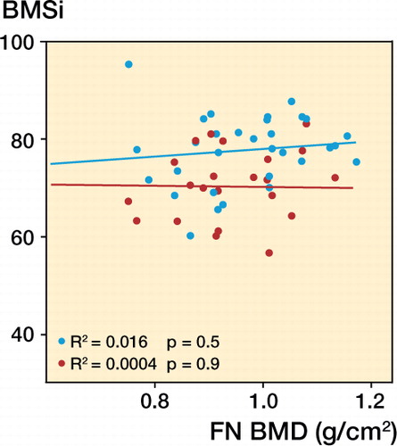 Figure 1. Lack of correlation between BMSi and bone mineral density (BMD, g/cm2) at the femoral neck in stress fracture patients and controls without stress fracture. Red – patients with stress fracture, and blue – controls.