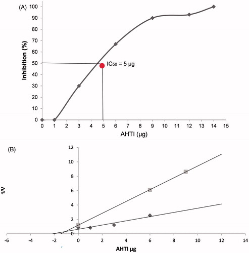 Figure 3. Determination of IC50 and Ki from AHTI from peanut paçoca. (A) AHTI concentration that inhibits 50% of trypsin activity (IC50) was determined using BApNA as substrate and performed using the titration curve with 12.88 µM of trypsin and increasing concentrations of AHTI (0, 1.84, 3.68, 7.35, 11, 14.71, 29.41, and 5.82 nM). (B) The inhibition constant (Ki) of AHTI over trypsin was determined using Dixon et al.Citation27 method. The Ki value was obtained from the intercepts of the two lines of the BApNA concentrations used. The rate of the reaction was determined by V = DO405 nm/h/ml. AHTI: A. hypogaea L. trypsin inhibitor.