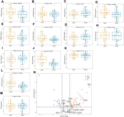 Figure 9 The expression levels of hub genes in the validation set. (A–M) are box plots of the expression levels of the hub genes in the validation set. (N) is a volcano map of differentially expressed genes.