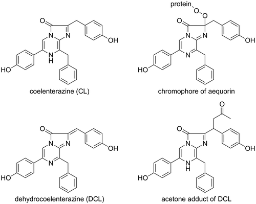 Fig. 1. Structures of CL, the chromophore of aequorin, DCL, and the acetone adduct of DCL.