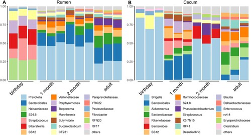 Figure 10. The microbial composition at the genus level for rumen and caecum samples The top 20 genera of the rumen (A) and caecum (B) in goats from birthday to adult are shown. Each column represents a sample, and each bar represents one bacterium.