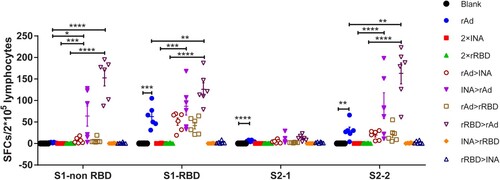 Figure 3. T cell responses to SARS-CoV-2 spike peptides measured by IFN-γ ELISPOT. 6 mice in Figure 1 were sacrificed and T cell response were measured. Isolated lymphocytes were stimulated with 4 peptide pools spanning spike respectively, and the IFN-γ secreting cells were quantified by ELISPOT assay. (n = 6 per group, one spot represents one sample). Bars represent means ± SEM, *p < 0.05, **p < 0.01, ***p < 0.001, ****p < 0.0001.