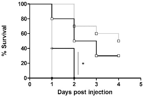 Figure 5. Strain 042 shows temperature dependent mortality. G. mellonella strains were infected with strain 042 (□103 and •104) and incubated at either 22 °C (blue) or 37 °C (black) for 4 d Statistical analysis were performed using the log rank test for multiple comparisons (GraphPad), and a significant difference was observed between larvae inoculated with 104 CFU and the 2 temperatures used (P < 0.05)