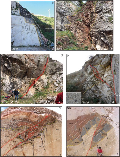 Figure 6. Main faults outcropping in the study area. (a) Mesozoic normal fault (black line) affecting the Liassic shallow-water carbonate platform (Trapanese succession; M. Balatelle); (b) Neptunian dyke affecting the Early Jurassic limestone (INI) filled by Middle Jurassic red nodular limestone (BCH), northern slope of the M. Kumeta; (c) S-dipping transpressive fault (Jato-Balatelle lineament) affecting the Inici Fm. and Upper Jurassic – Lower Cretaceous deposits filling Neptunian dykes (BCH and HYB; northern slope of the M. Kumeta); (d) normal faults (black lines) recognized along the Jato-Balatelle lineament (red lines) that affect the Lower Cretaceous calcilutites and marls (HYB); the faults as well as the stratigraphic surface (dashed yellow line) appear tilted as a consequence of the subsequent transpressive faults (Jato-Balatelle lineament); (e, f) compressive structures (S-dipping thrusts and ramp anticlines, red lines) affecting the Jurassic carbonate Trapanese succession (INI, BCH and RND) of M. Kumeta and M. Balatelle, respectively. The Trapanese succession has been displaced by previous (Jurassic) normal faults (black lines).