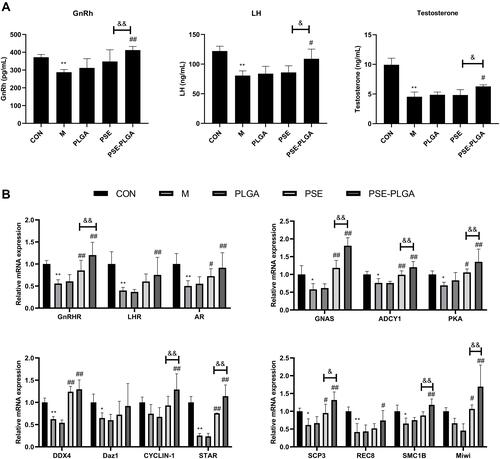 Figure 7 Continued.