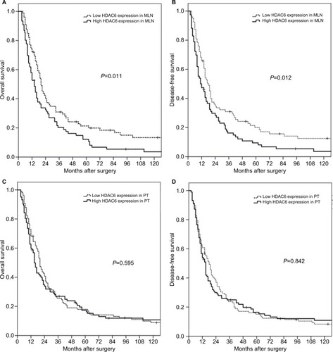 Figure 3 Kaplan–Meier survival analyses for surgically resected T3N1–3M0 esophageal squamous cell carcinomas revealed that HDAC6 expression levels in MLNs (A, B), but not in PTs (C, D), were prognostic factors.Abbreviations: HDAC6, histone deacetylase 6; MLN, metastatic lymph node; PT, primary tumor.