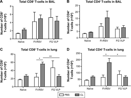 Figure 5 CL treatment differentially regulates T-cell recruitment in the lungs.Notes: The cells were harvested from the airways and lungs of individual mice 5 days post-challenge and cellularity of T-cells was analyzed by flow cytometry. (A) BAL CD8+ T-cells. (B) BAL CD4+ T-cells. (C) Lung CD8+ T-cells. (D) Lung CD4+ T-cells. Total numbers of CD3+CD8+ T-cells and CD3+CD4+ T-cells were determined in BAL and lungs (n=5). PBS panel: mock (PBS)-treated groups. CL panel: CL-treated groups. Statistical significance was determined using an unpaired two-tailed Student’s t-test. Error bars indicate means ± standard error of the mean of concentration or ratios from individual animals. *P<0.05; **P<0.01.Abbreviations: BAL, bronchoalveolar lavage; CL, clodronate liposome; FG VLP, a combination of fusion and glycoprotein virus-like nanoparticles, FI-RSV, formalin-inactivated respiratory syncytial virus; PBS, phosphate-buffered saline.