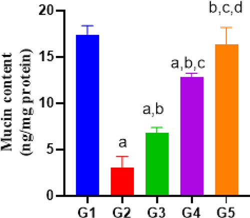 Figure 5 Mucin content between different groups. Group G1 – Control, G2 - Indomethacin 30 mg/kg, G3- Indomethacin+ 2,3-Dimethylquinoxaline (30 mg/kg body weight), G4 - Indomethacin+ 2,3-Dimethylquinoxaline (60 mg/kg body weight), G5 - Indomethacin+ esomeprazole 30 mg/kg.