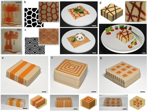 Figure 6. Exemplars of 2D and 3D food structure printing with the proposed strategy. (a) University of Nottingham Logo printed with and without our optimisation strategy; Scale bars, 10 mm; (b) and (c) are artistic 2D patterns to demonstrate its application in plate decorating (b) Random pattern; Scale bars, 10 mm; (c) Repeated pattern; Scale bars, 10 mm; (d) 3D food printing of a cube with geometric lines; Scale bars, 10 mm; (e), (g) and (f) are exemplars that demonstrate the use of spatial salt level control to optimise their distributing aiming for healthier food with reduced salt and similar taste: (e) Cube with alternating slices; Scale bars, 6 mm; (f) Cube of concentric squares; Scale bars, 6 mm; (g) Cube with distributed mini-cubes; Scale bars, 6 mm.