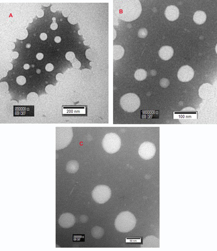 Figure 6 The transmission electron microscopy images (TEM) of the prepared DMNs showing the shape and size.Notes: (A) 50,000 multiples, (B) 100,000 multiples, and (C) 200,000 multiples. Which showed spherical shape, size 50 nm.