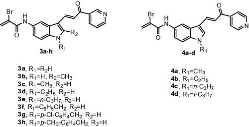 Figure 2. Structures of α-bromoacryloylamido indolyl-pyridinyl-propenone derivatives 3a–h and 4a–d.