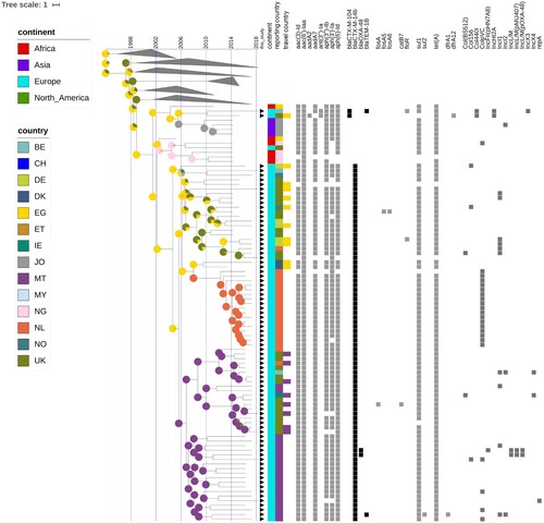 Figure 4. Time-scaled phylogeny with epidemiological and molecular features of the S. Kentucky blaCTX-M-14b clade and closely related isolates. The presence of black triangles immediately next to the tips of the tree indicate isolates that were collected from European countries participating in this inquiry. The coloured strips indicate the continent, country of isolation, and country of infection for the respective isolates. The coloured squares indicate the presence of a specific antibiotic resistance gene or a plasmid. The pie charts associated with the internal nodes of the tree indicate the probability for the country of origin, with larger sectors of the circles corresponding to a higher probability for the country with the respective colour.