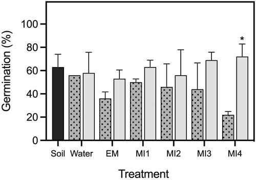 Figure 3. Plant bioassay 1 garden cress germination rates in soil amended with microbially treated hemp waste expressed as percentage of 25 seeds. Solid fill bars represent means of treated hemp that was cured in soil for 4 weeks (n = 4) while speckled bars represent means of uncured hemp (n = 2). Treatments are labeled on the x-axis with corresponding code (soil: unamended field soil control; water: field soil amended with water treated hemp; EM: field soil amended with Effective MicroorganismsTM liquid inoculant treated hemp; MI1: field soil amended with Imio microbial inoculant 1 treated hemp; MI2: field soil amended with Imio microbial inoculant 2 treated hemp; MI3: field soil amended with Imio microbial inoculant 3 treated hemp; MI4: field soil amended with Imio microbial inoculant 4 treated hemp). Statistical significance between cure phases within the same treatment group are marked with an asterisk (p < 0.05). Error bars represent plus 1 standard deviation.
