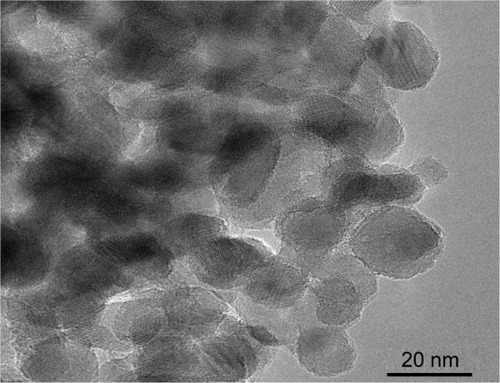 Figure 1 TEM image of TiO2 nanoparticles obtained by sol-gel process.Abbreviations: TEM, transmission electron microscopy; TiO2, titanium dioxide.