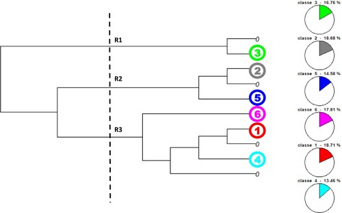 Figure 1. Global descending hierarchical classification of class constructs. Dendrogram tree showing the stabilization of six clusters.