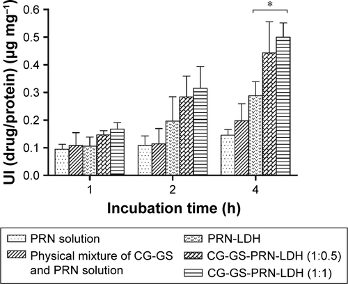Figure S5 In vitro cellular uptake of CG-GS-PRN-LDH (1:1) nanocomposites, CG-GS-PRN-LDH (1:0.5) nanocomposites, PRN-LDH nanoparticles, physical mixture of CG-GS and PRN solution (0.00038% [w/v]) and PRN solution at different time points (mean±SD, n=3). *P<0.05 vs PRN-LDH. The bar shown is 25 μm.Abbreviations: CG-GS, chitosan-glutathione-glycylsarcosine; LDH, layered double hydroxides; PRN, pirenoxine sodium; UI, uptake index.
