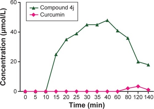 Figure 9 Bioavailability of compound 4j and curcumin in experimental rats.